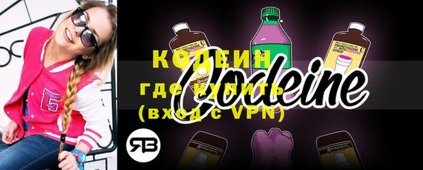 гашик Бородино