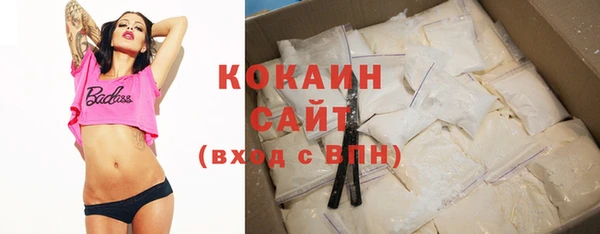 гашик Бородино