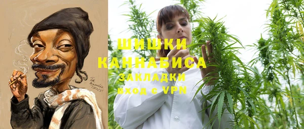 гашик Бородино