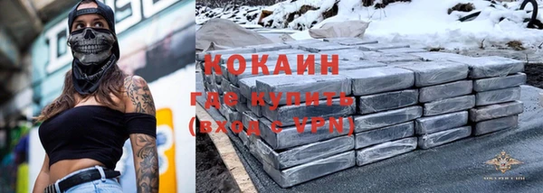 гашик Бородино