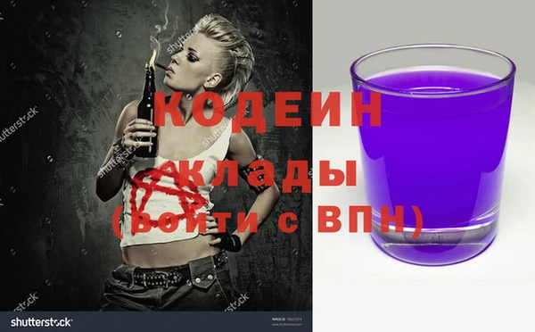 гашик Бородино