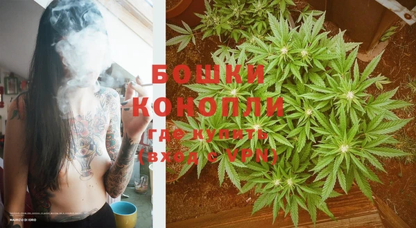 гашик Бородино