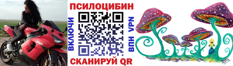 Псилоцибиновые грибы мицелий  где можно купить наркотик  kraken ССЫЛКА  Челябинск 